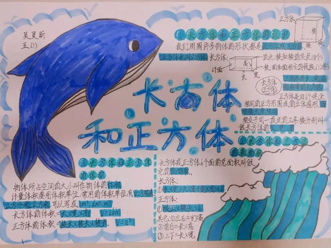 五年级下册长方体与正方体思维导图 第一次画这种字体,画了好久