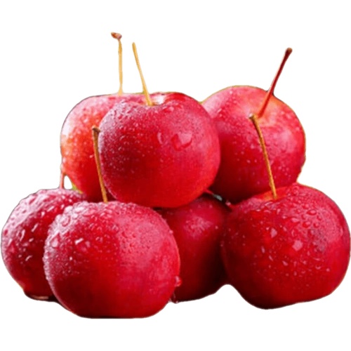 香妃海棠果特产水果新鲜糖心东北沙果酸甜脆龙丰果5斤海棠果 5斤