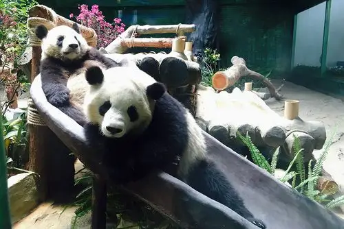 厦门灵玲动物王国有什么动物