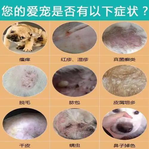 治狗狗皮肤病喷剂真菌除螨虫皮屑脓皮症除狗藓癣掉毛金毛宠物用品