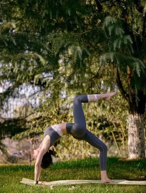 瑜伽穿搭解锁后弯自由73