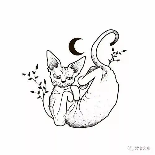 纹身手稿素材第496期斯芬克斯猫