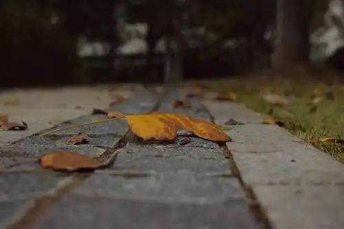 第一次作业景深运用