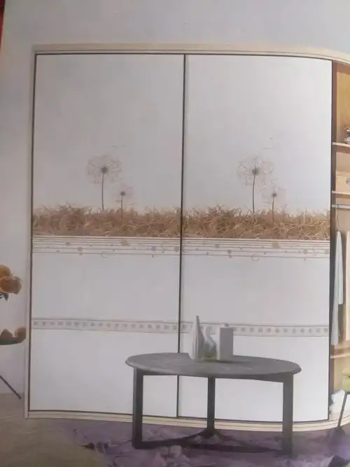 奥文轩衣柜门图案