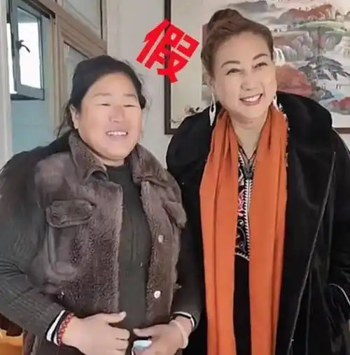 况且她一脸富态,跟新儿媳妇朴素的打扮差距甚远!