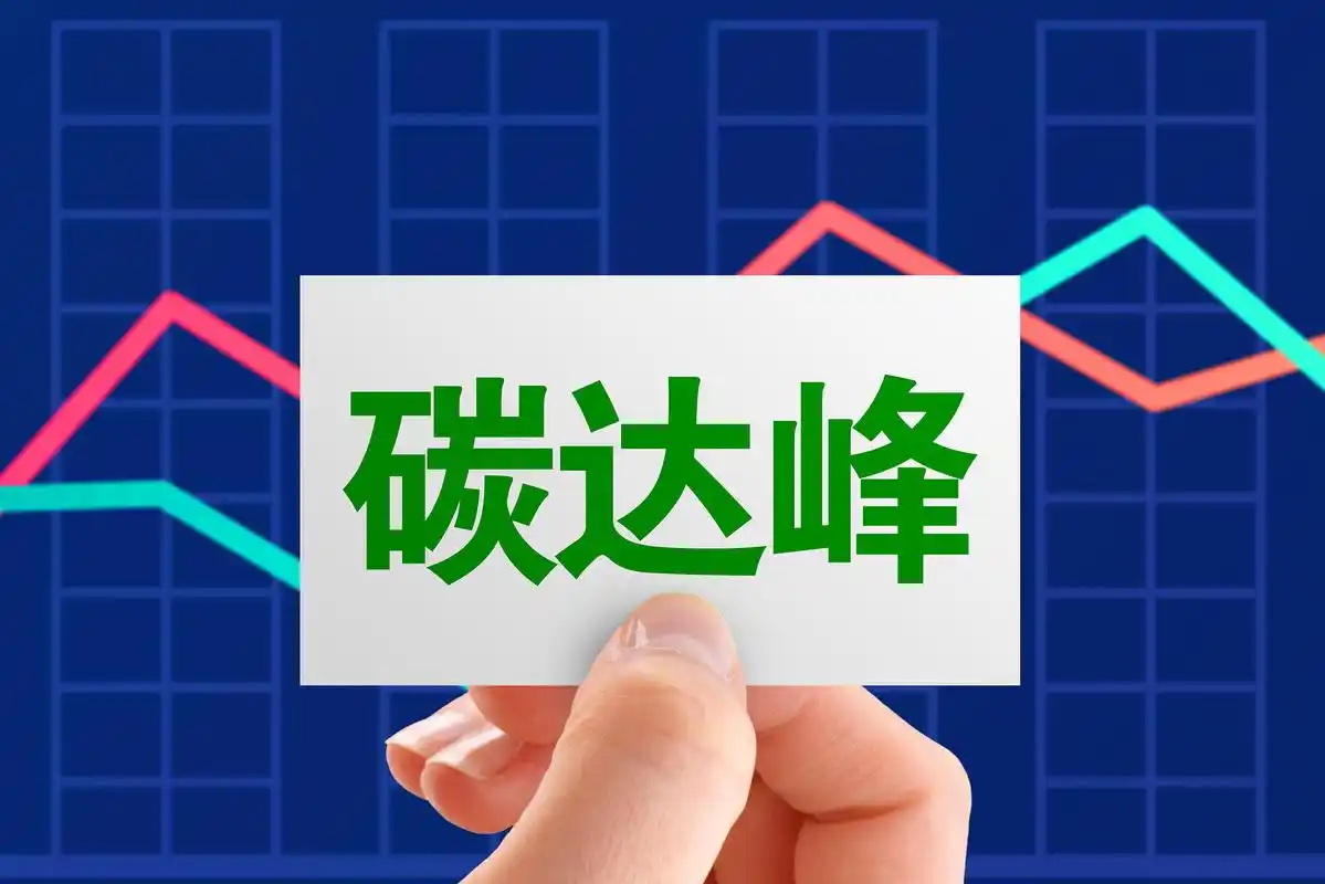 视频丨夏光:碳达峰要任务分解 各省各行业甚至每个人都有任务