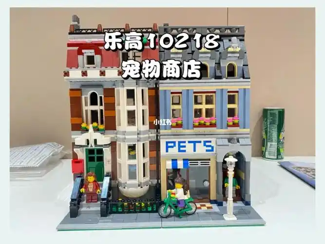 乐高10218宠物商店69