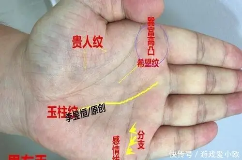 手相双龙纹在手,不富则贵,正财旺偏财岁,一生不愁福气在!