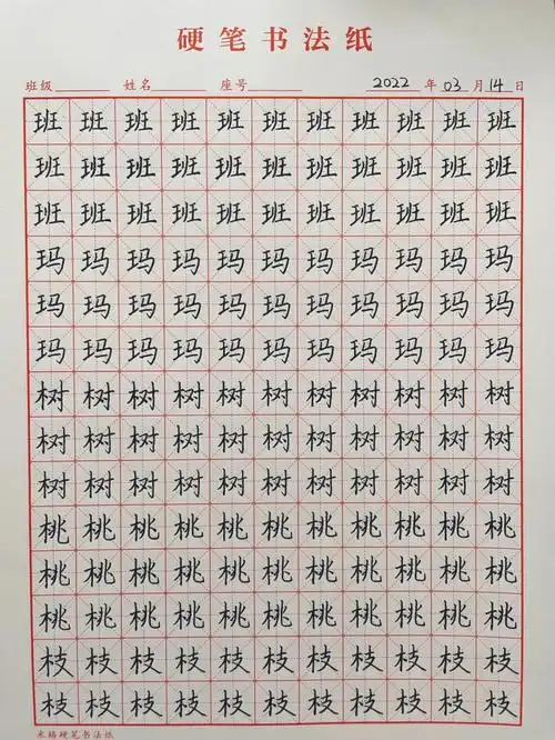 我的书法分享  #每日练字打卡  #硬笔书法  #书法练习打卡  #楷书