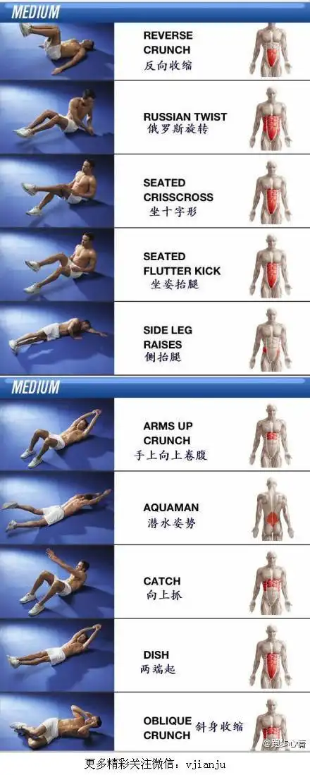 分为简单,中等,困难三个等级,从简单开始,每个动作15次或30秒,隔天