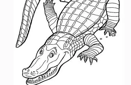 小鳄鱼简笔画图片大全小鳄鱼简笔画图片