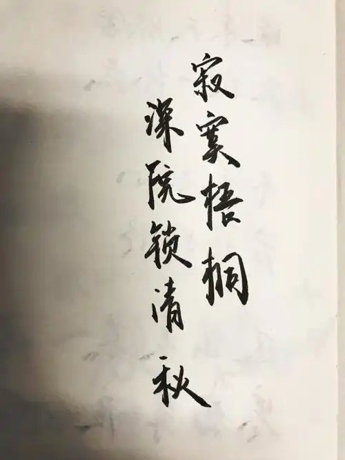 手写寂寞梧桐深院锁清秋