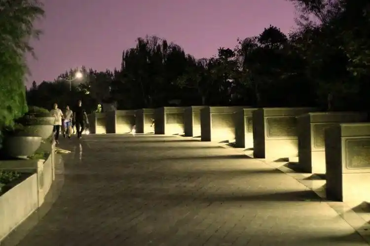 舒爽,惬意,夜晚公园漫步是一种幸福