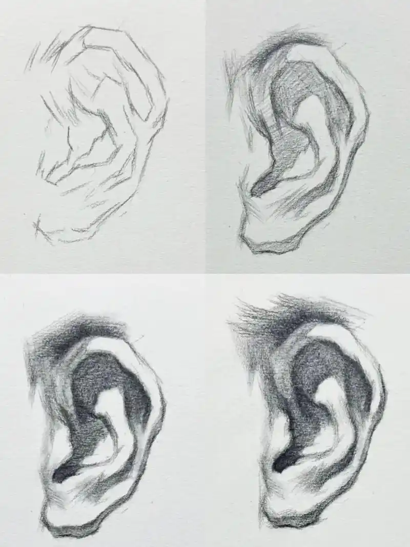 素描耳朵的画法,快拿起笔来学吧. 第一步:先画出耳朵的形状. - 抖音