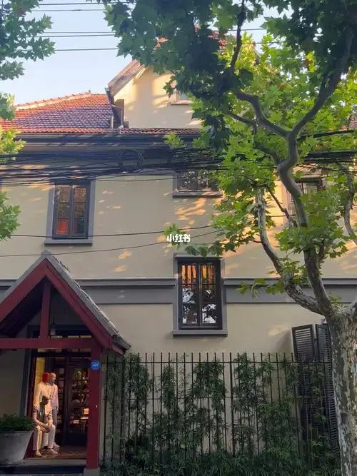 安福路金苑513平三层复式带两露台