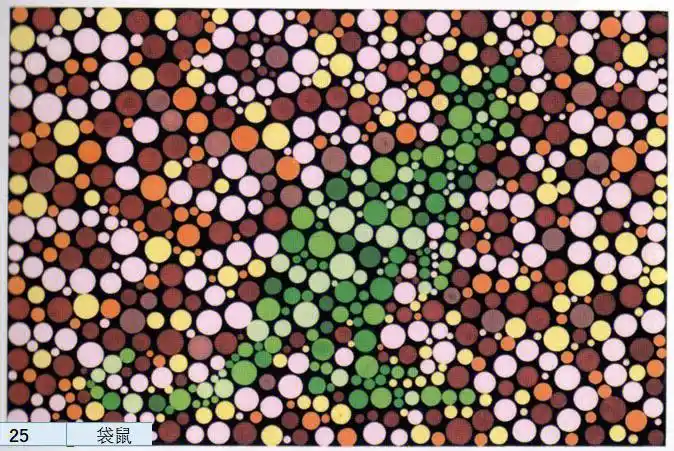 测试红绿色弱色盲测试动物难分一点