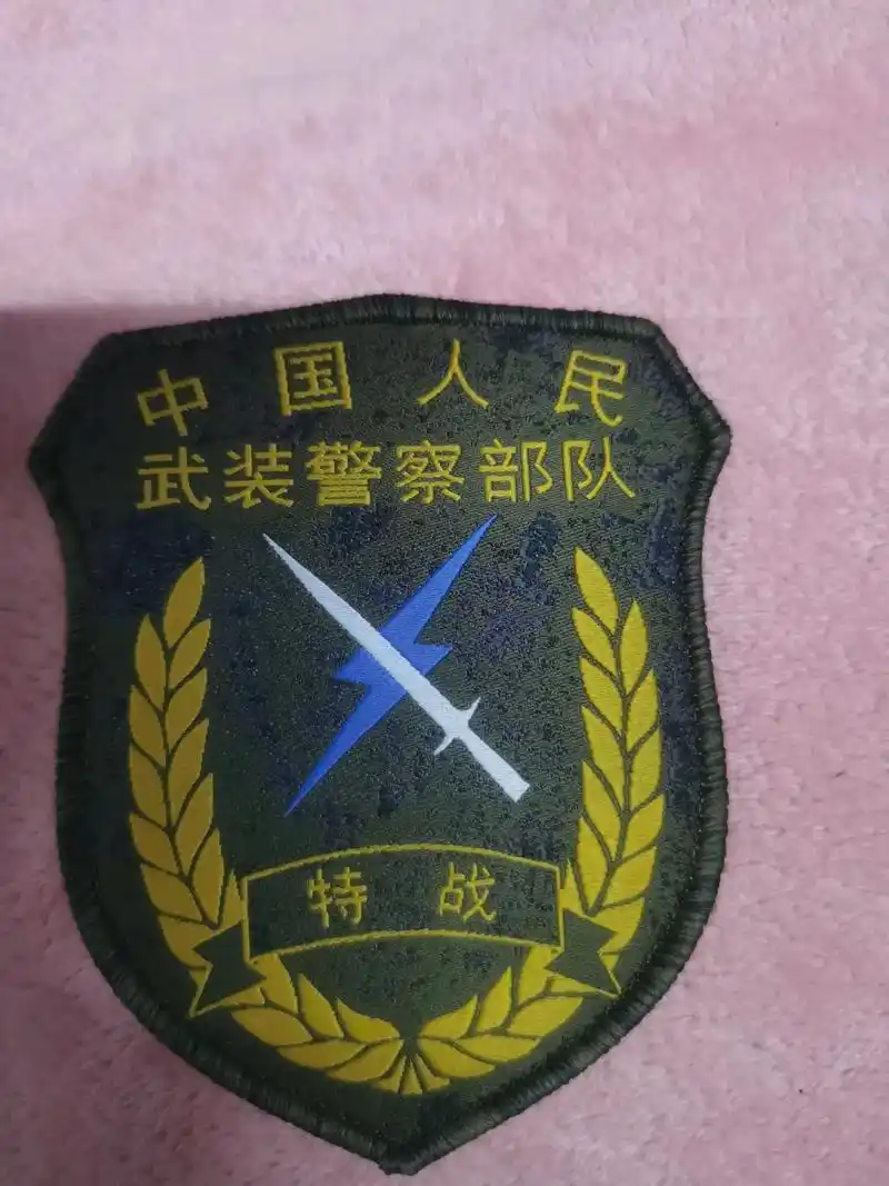 臂章 #雪豹突击队 #武警特战 #猎鹰突击队 #武警 - 抖音