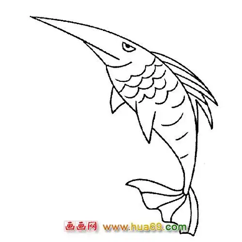 鱼类简笔画尖嘴的鱼