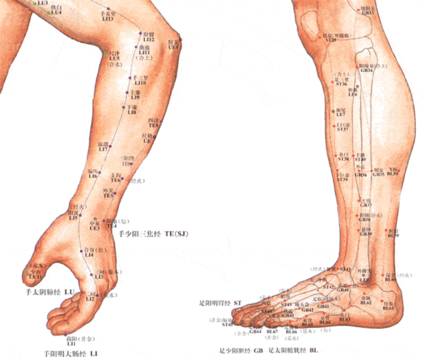 640_540gif 动态图 动图