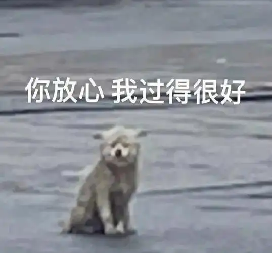 你放心,我过得很好#我最爱的表情包  #表情包  #搞笑表情包  #可爱