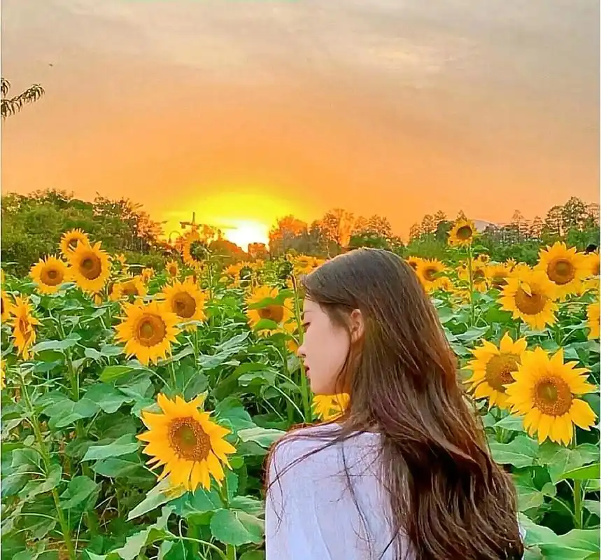 听说橘红色的天空是星星在出嫁#氛围感 #优质头像#女生头像