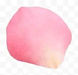 粉色花瓣
