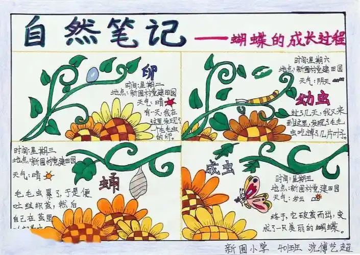 在线作品展示自然笔记1