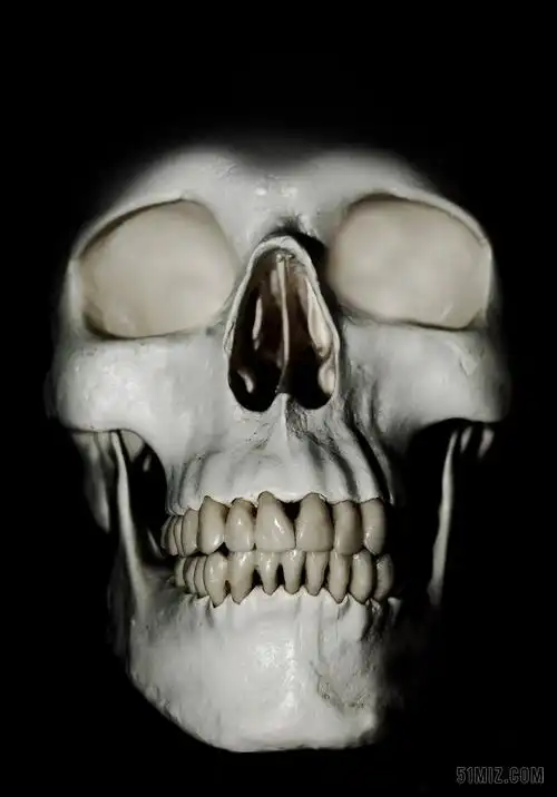 黑白人体写实白色的骷髅近照骷髅人体头部背景图片