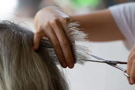理发,剪发,剪头发,发型,头发用剪刀头发的特写理发师背景