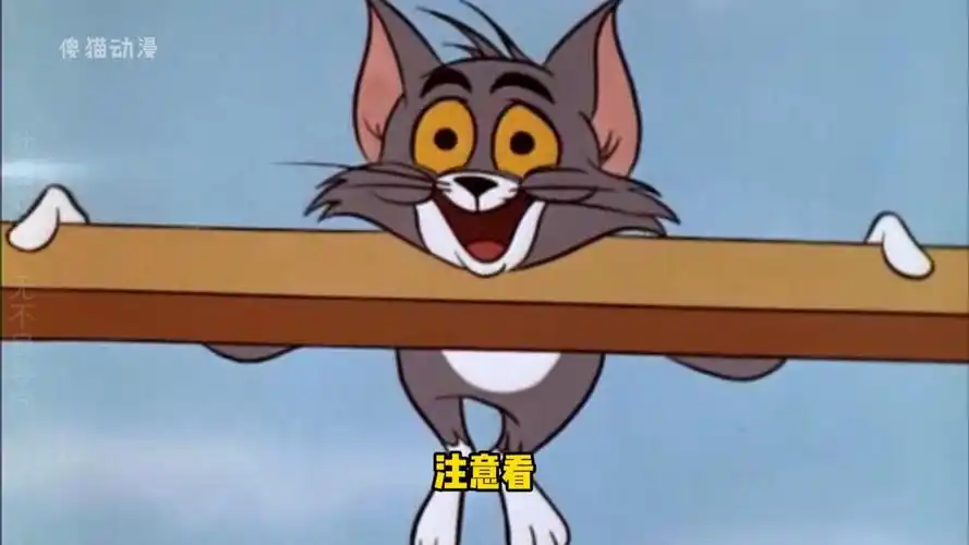 猫和老鼠之船舶保安员汤姆