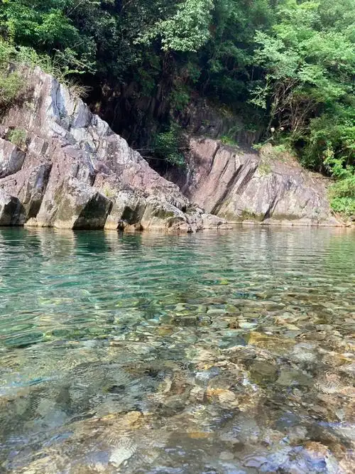 台州游玩仙居淡竹