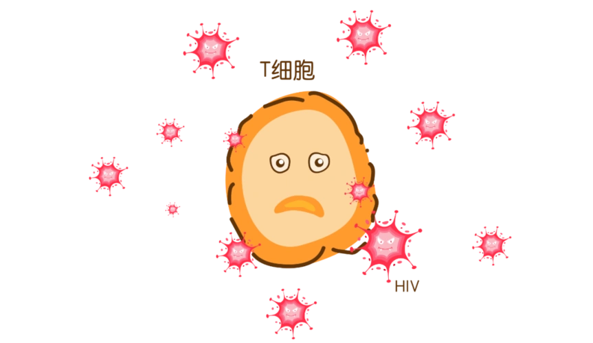 艾滋病病毒疫苗是否遥遥无期