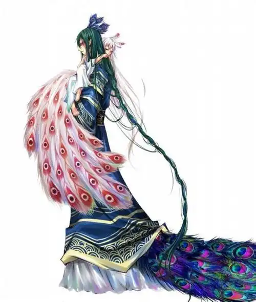 沈爹爹 沈王爷 孔雀 功夫熊猫2 拟人 手绘 插画 可爱