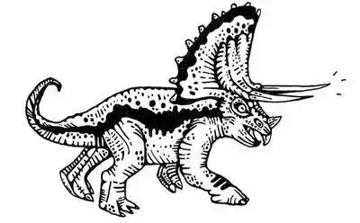 41张黑白三角龙纹身手稿图案