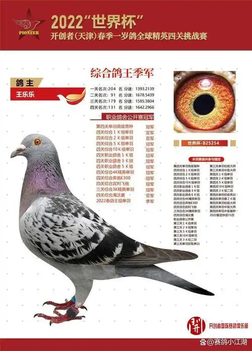 北京壹号鸽舍张斌,院内综合鸽王冠军,高价成交|鸽子_网易订阅