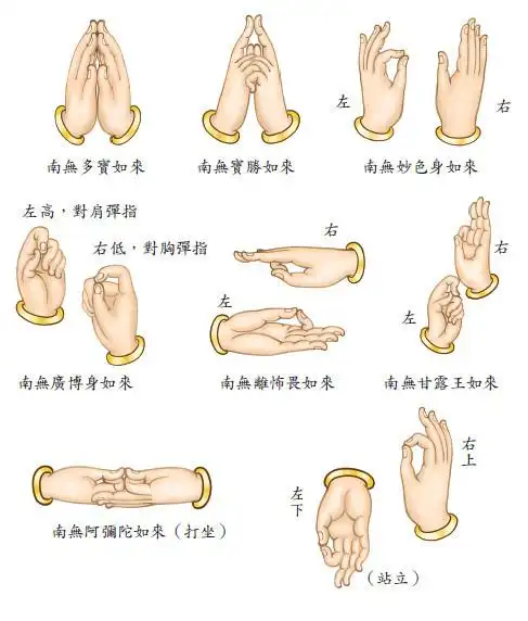 【嬿郅珍藏】佛教密宗的修持法--七佛如来手印嬿郅关注打开新页