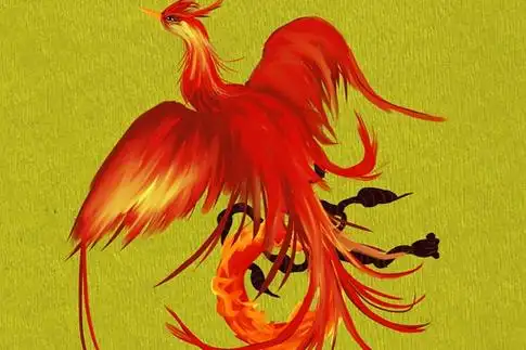 山海经十大神鸟的名字,中国古代十大神鸟分别叫什么