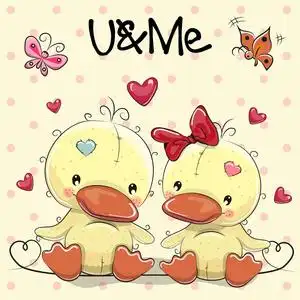 两个可爱的鸭子照片