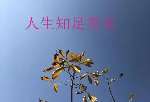 原创:人生知足常乐