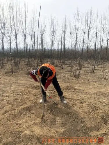 多艺·爱萌滔客口才礼仪培训 —— 2019亲子植树节活动照片(2)