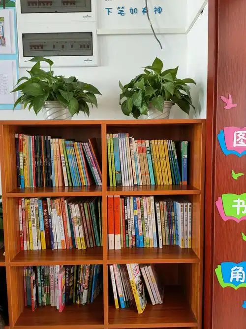 与书为友 精神敞亮——海口市秀英区康安学校五六年级特色书柜建设