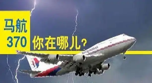 事故中的飞机型号是波音767,在飞机将要从洛杉矶飞往开罗的路上,不幸