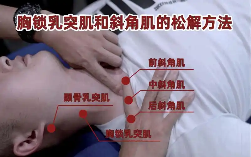 胸锁乳突肌和斜角肌手法松解详解