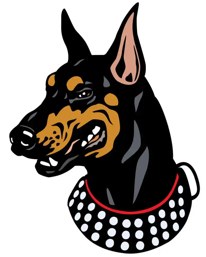 独行侠头,头,杜宾犬的犬种,孤立的白色背景上的插图