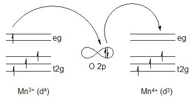 双交换作用 - 中文维基百科【维基百科中文版网站】
