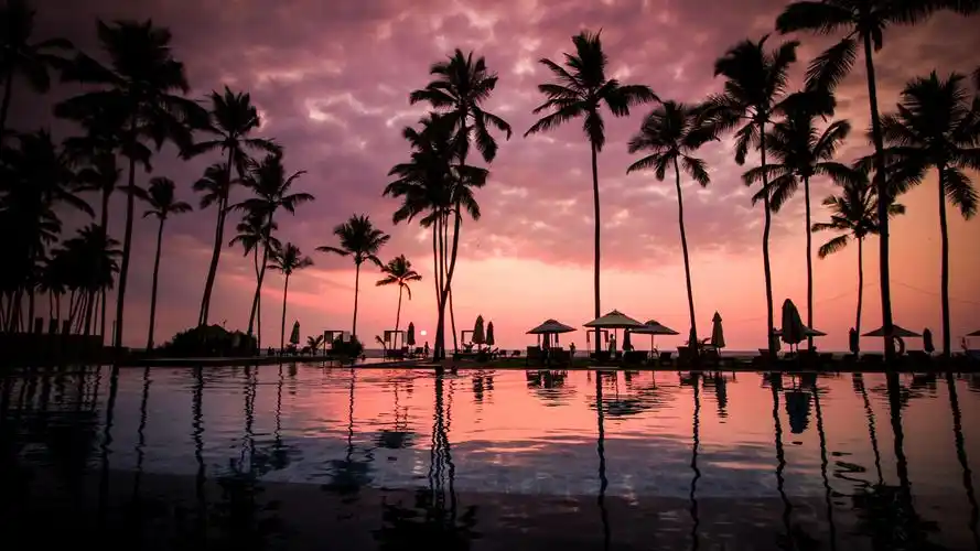 海边椰树风景壁纸1080x1920分辨率查看 (1/6)