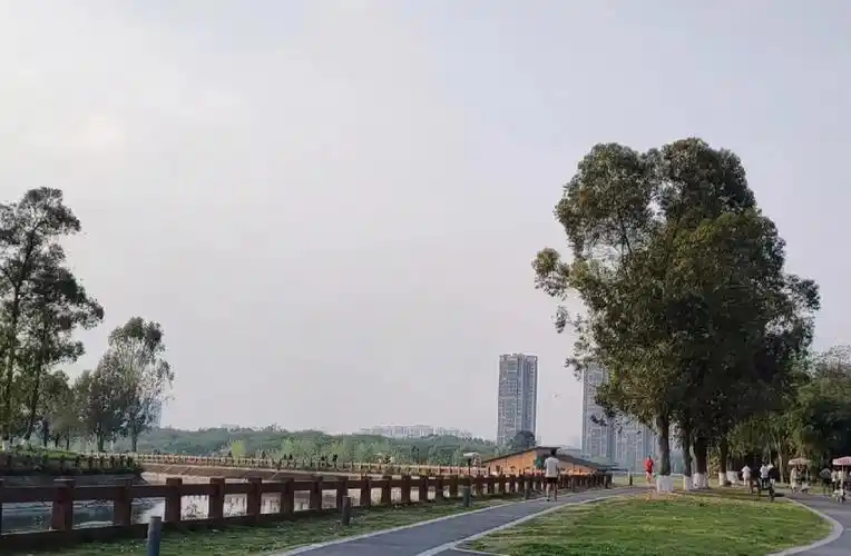 好后悔才去成都青龙湖湿地公园!我说成都帅哥美女们周末们都躲去哪了?