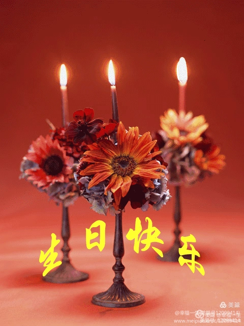 妈妈您是我们今生最美最幸福的相遇---祝妈妈生日快乐