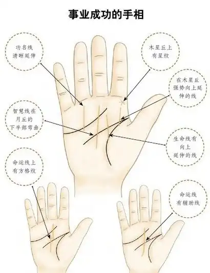 女人手相算命图解准(女人手相图解大全 富贵命)