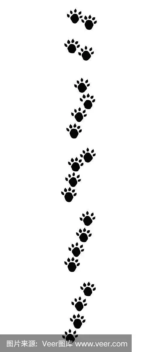 水獭足迹与典型的斜线轨道-孤立的黑色图标矢量插图上的白色背景.